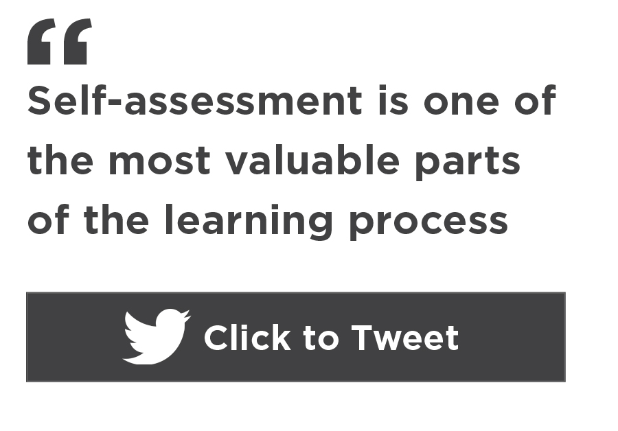 what is a self assessment report in education